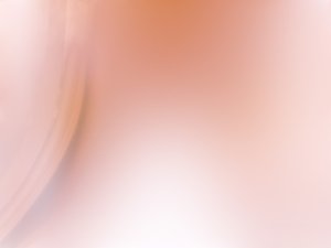 回滚机制